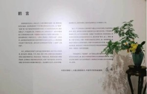 身有余闲，物尽清欢—— “器•像”卫恩青瓷生活美学展在京开展